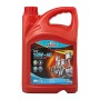 OLIO MOTORE RHUTTEN 10W-40 4 LITRI SINTETICO cod. 220084