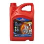 OLIO MOTORE SINTETICO RHUTTEN SAE 5W-40 4 LITRI COD. 220085