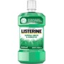 LISTERINE COLLUTTORIO DIFESA DENTI E GENGIVE AL GUSTO MENTA FRESCA CON FLUORURO 500ML