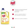 DUAL POWER DP9047 DETERGENTE HACCP PER LAVAPAVIMENTI AGRUMI 5 LITRI