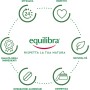 EQUILIBRA INTEGRATORI ALIMENTARI PROTEIN PLUS VANIGLIA VEGAN  SHANKE SISTEMA IMMUNITARIO ENERGIA FISICA E MENTALE 310G