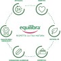 EQUILIBRA CONTORNO OCCHI ALOE VERA EFFETTO LIFTING RIDUCE BORSE E OCCHIAIE CON ACIDO IALURONICO CON ALGA BRUNA , CAFFEINA, VITAMINA E 15ML