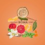 LAURA BIAGIOTTI ROMA EAU DE TOILETTE PROFUMO DA UOMO 75ML